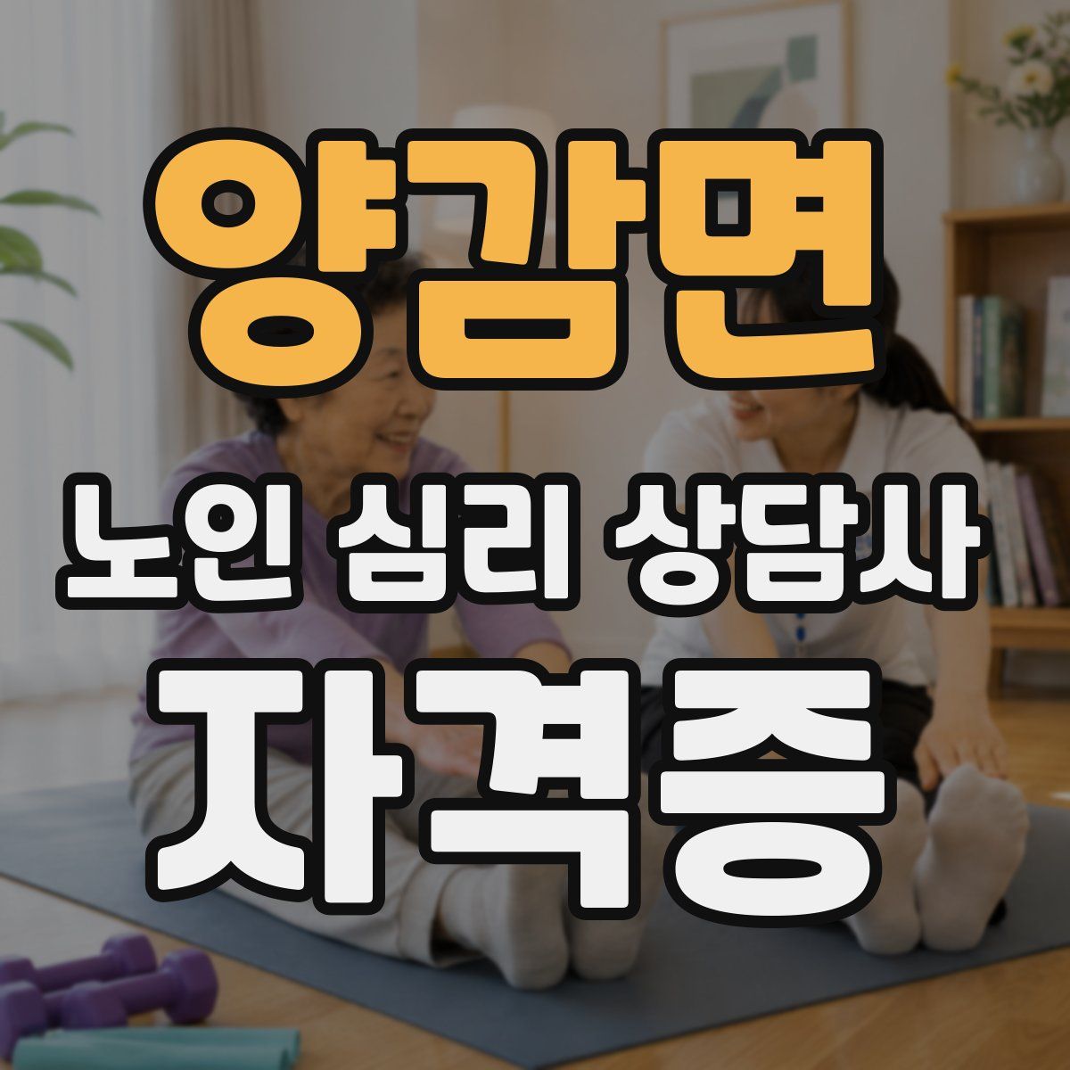 양감면 노인 심리 상담사 자격증