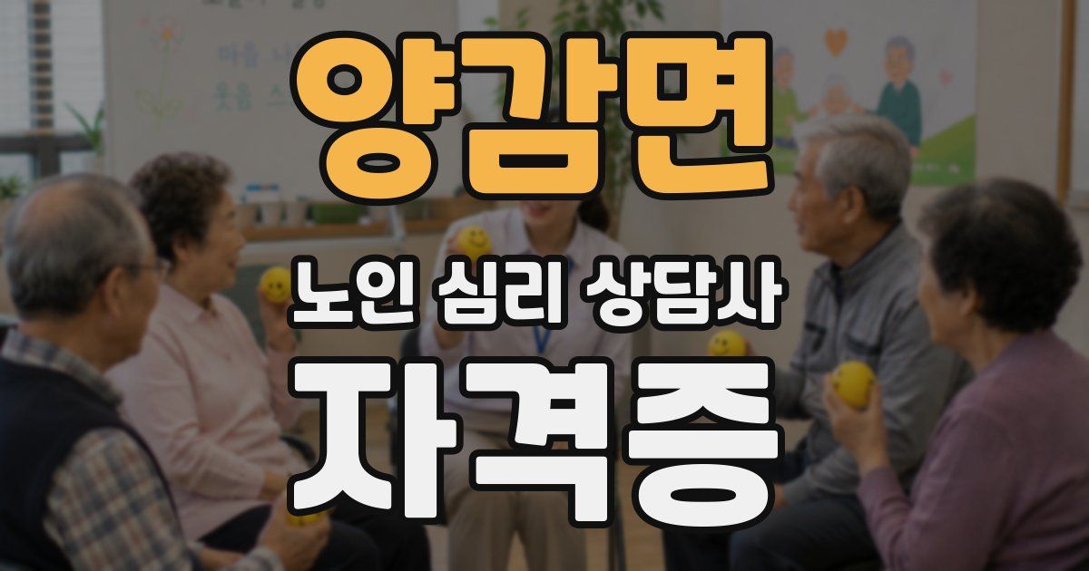 양감면 노인 심리 상담사 자격증