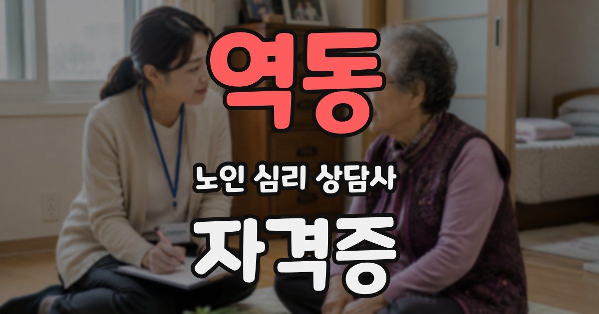 역동 노인 심리 상담사 자격증