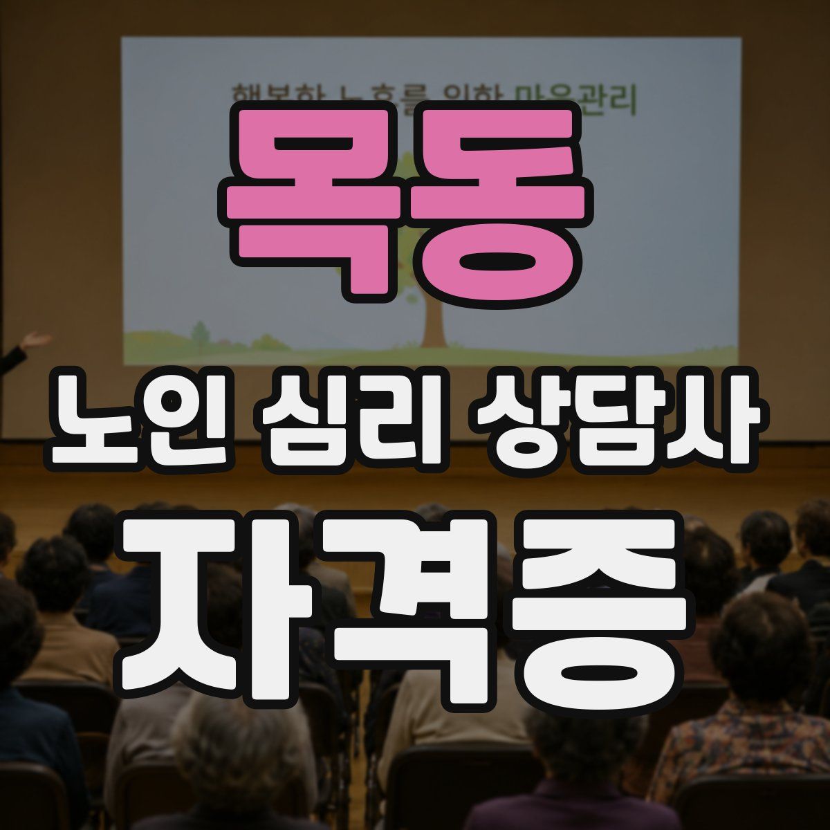 목동 노인 심리 상담사 자격증