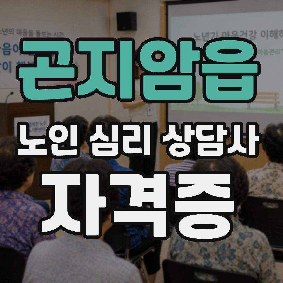 곤지암읍 노인 심리 상담사 자격증