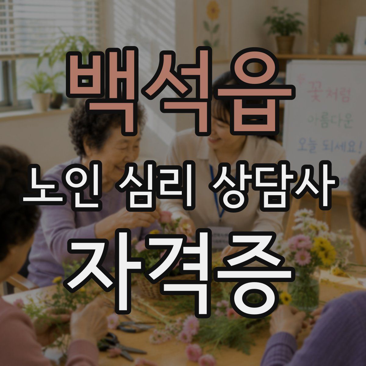 백석읍 노인 심리 상담사 자격증
