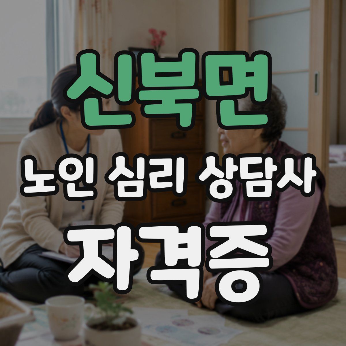 신북면 노인 심리 상담사 자격증
