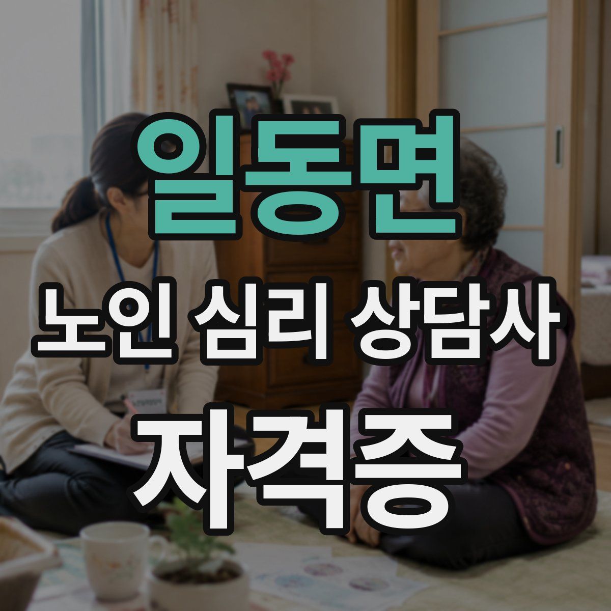 일동면 노인 심리 상담사 자격증