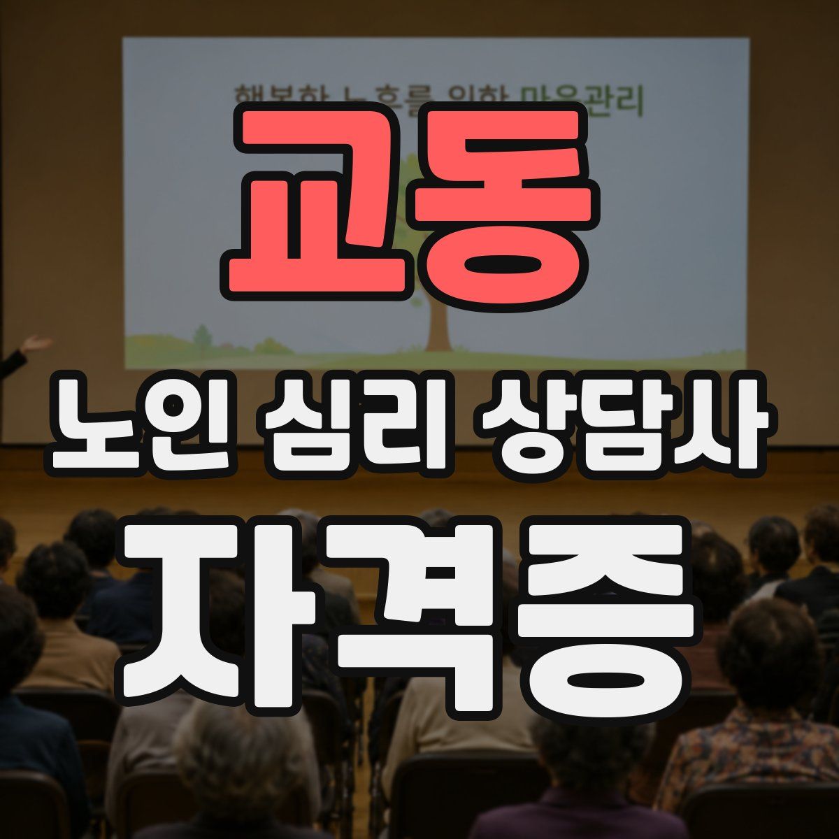 교동 노인 심리 상담사 자격증