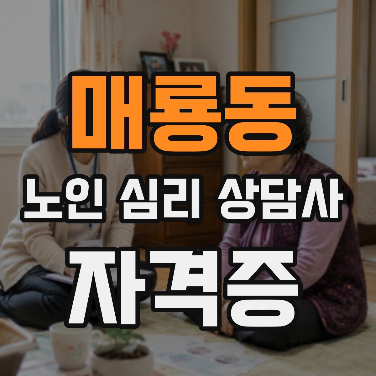 매룡동 노인 심리 상담사 자격증