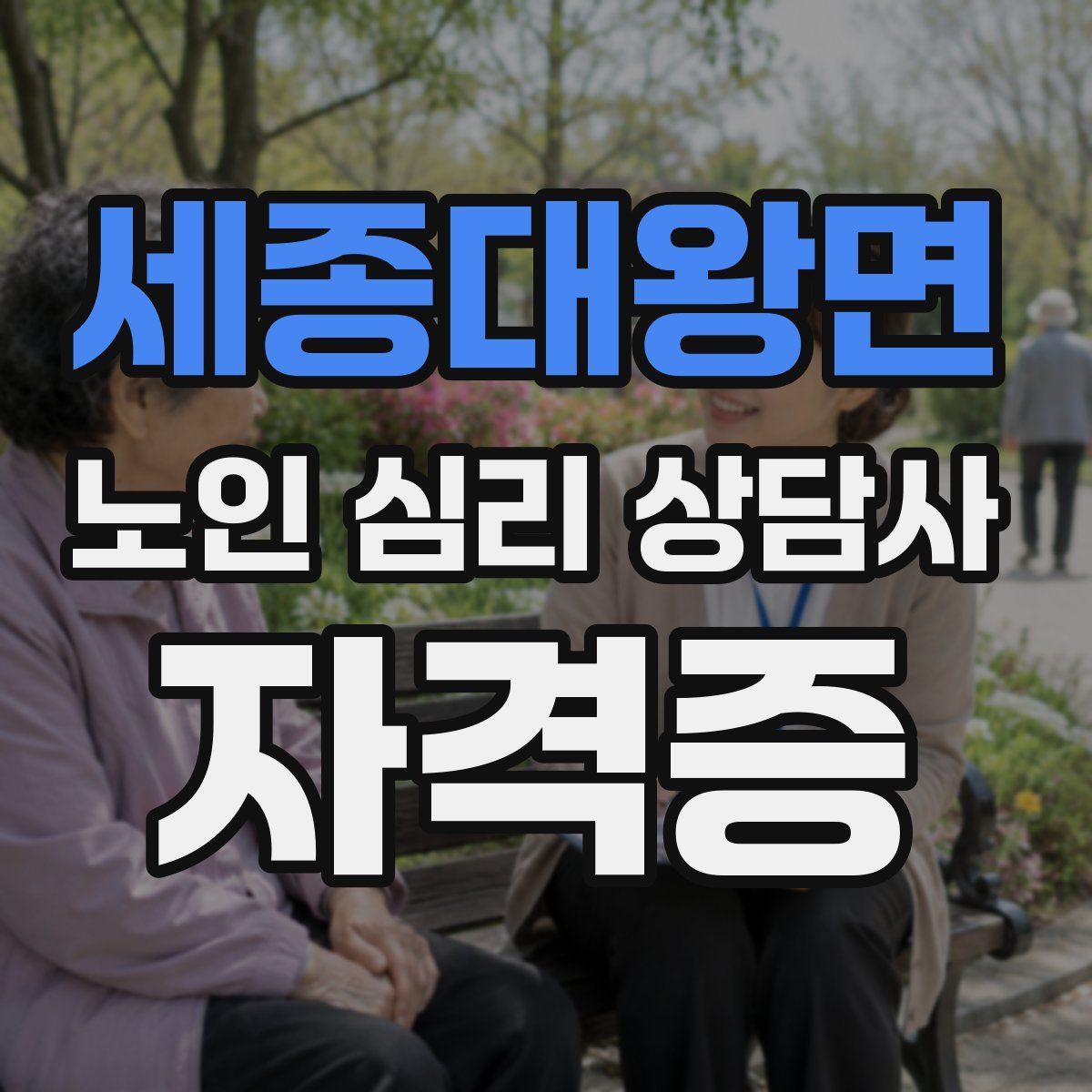 세종대왕면 노인 심리 상담사 자격증