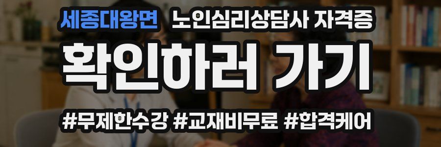 세종대왕면 노인 심리 상담사 자격증