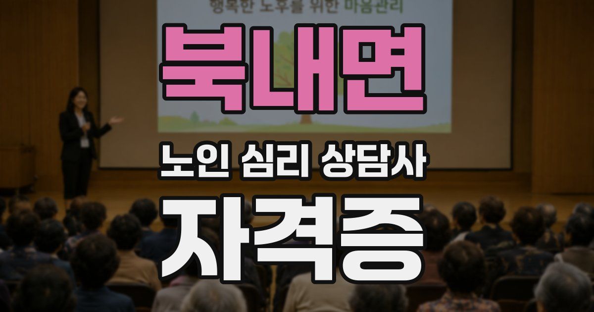 북내면 노인 심리 상담사 자격증