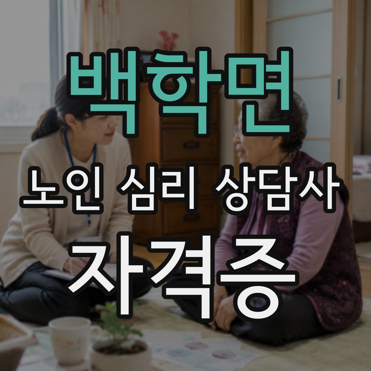 백학면 노인 심리 상담사 자격증