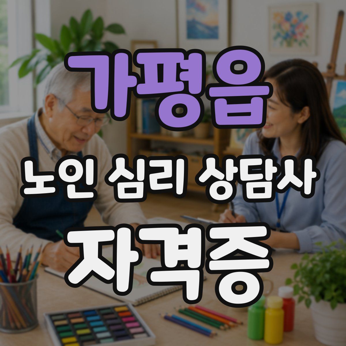 가평읍 노인 심리 상담사 자격증