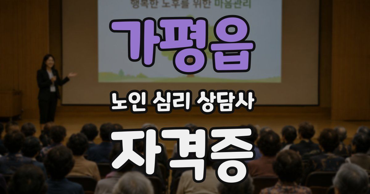 가평읍 노인 심리 상담사 자격증