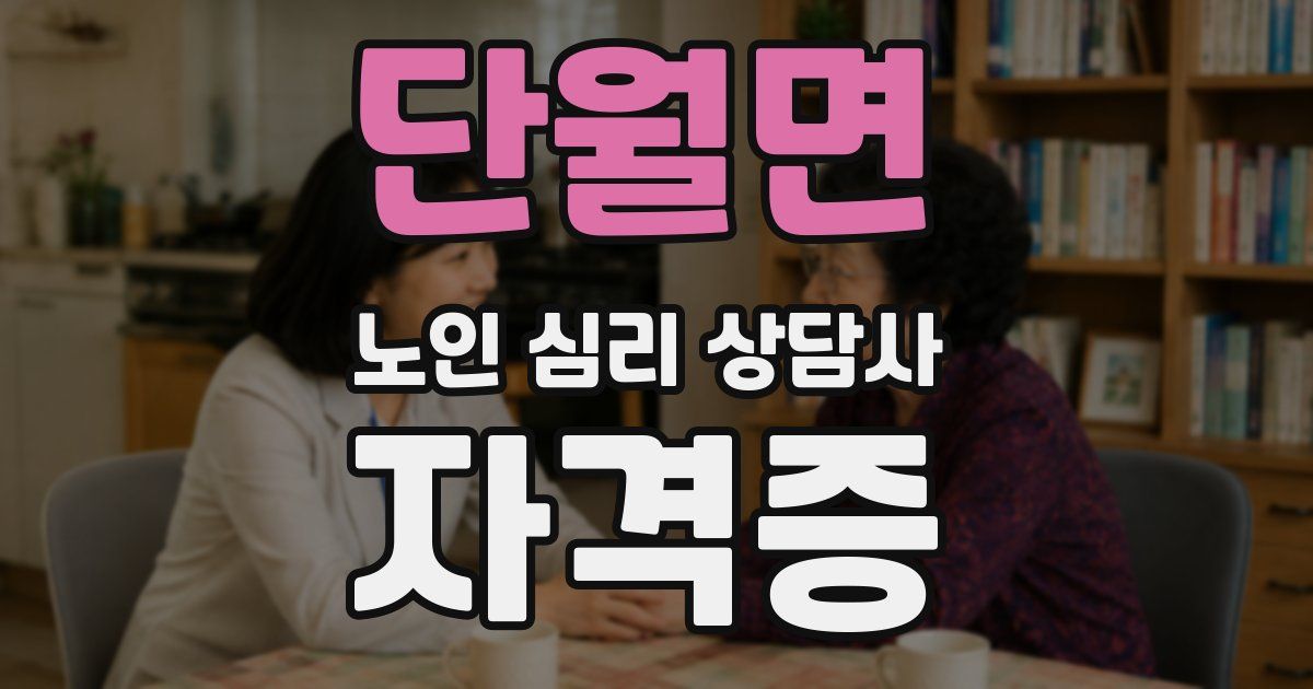 단월면 노인 심리 상담사 자격증