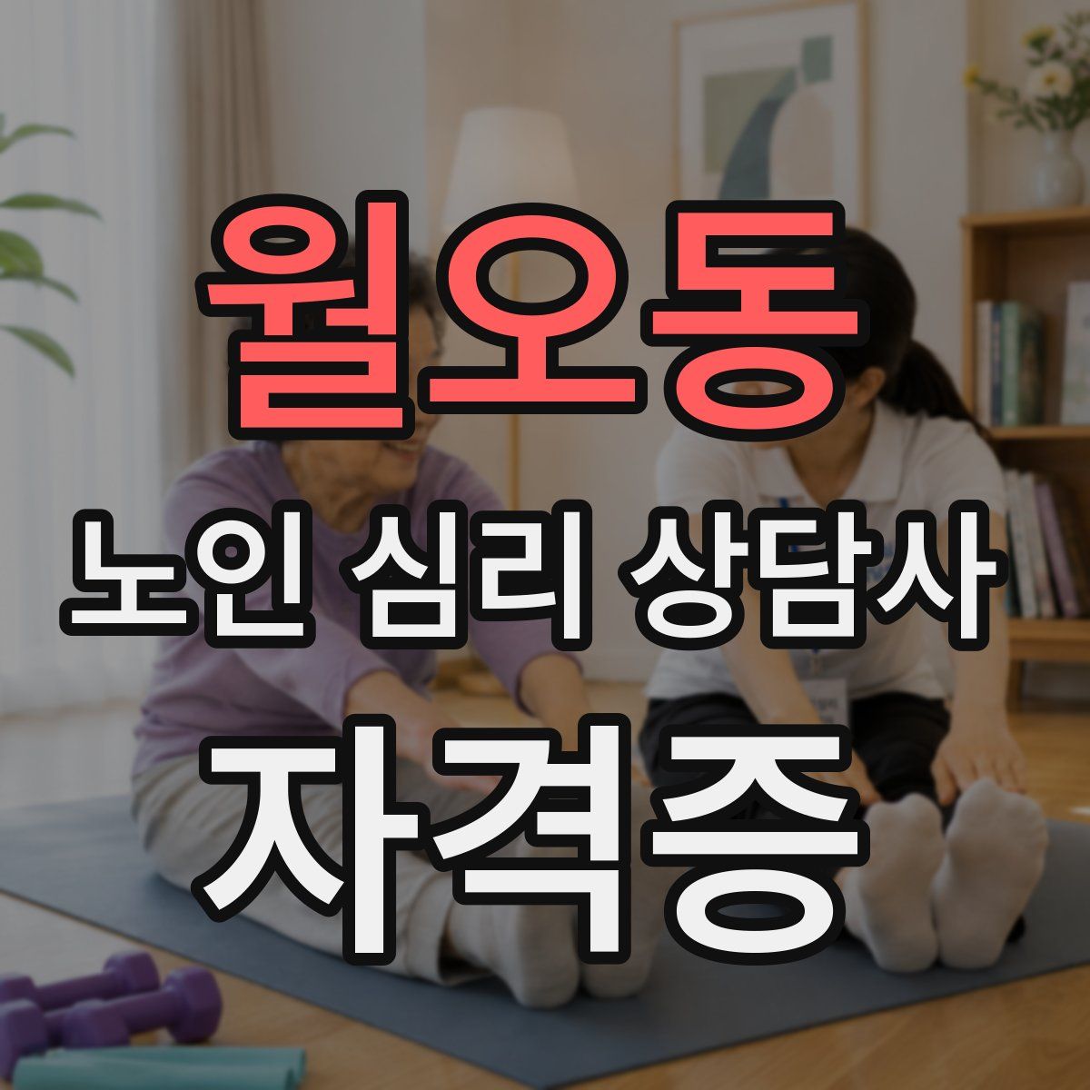 월오동 노인 심리 상담사 자격증