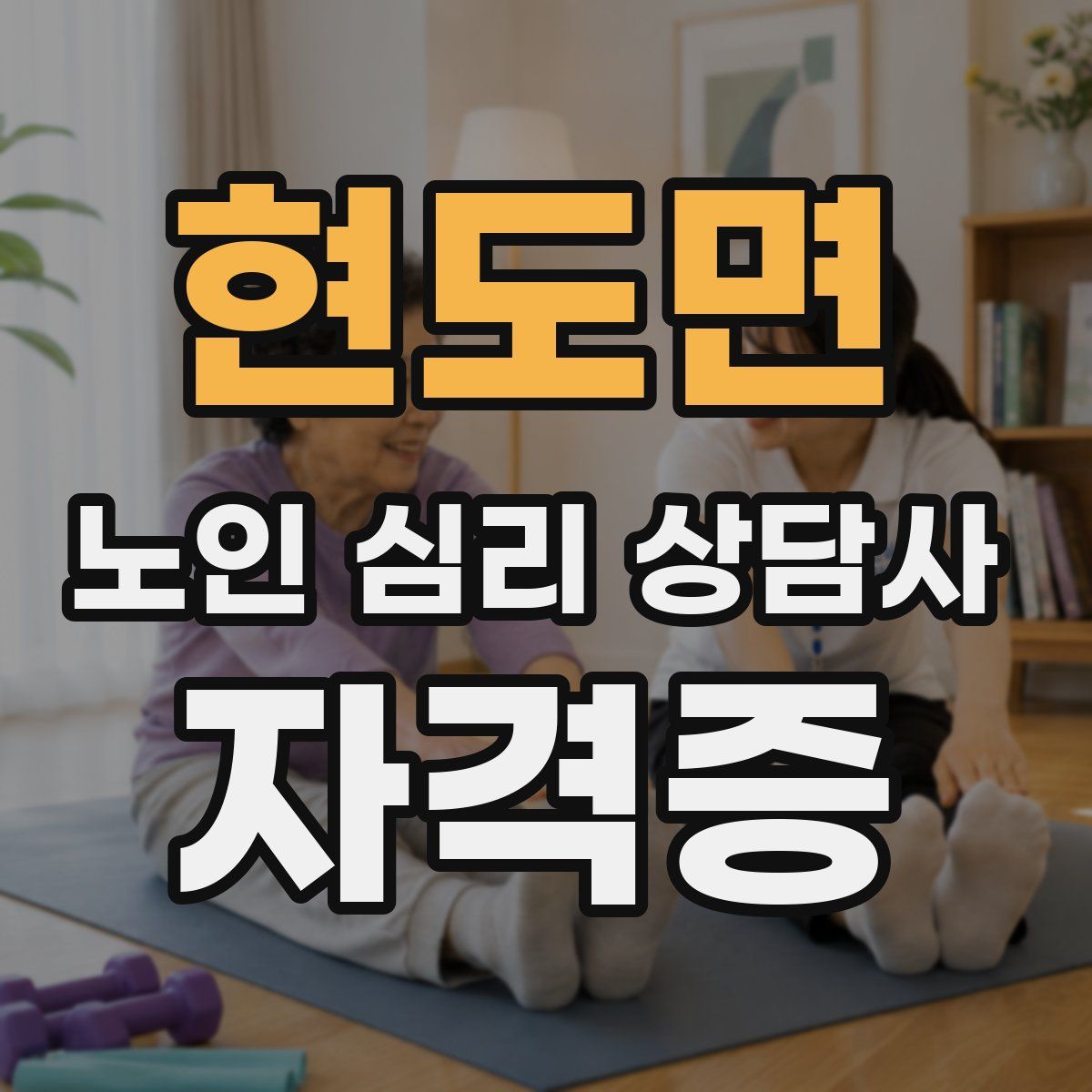 현도면 노인 심리 상담사 자격증