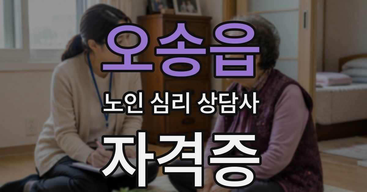 오송읍 노인 심리 상담사 자격증