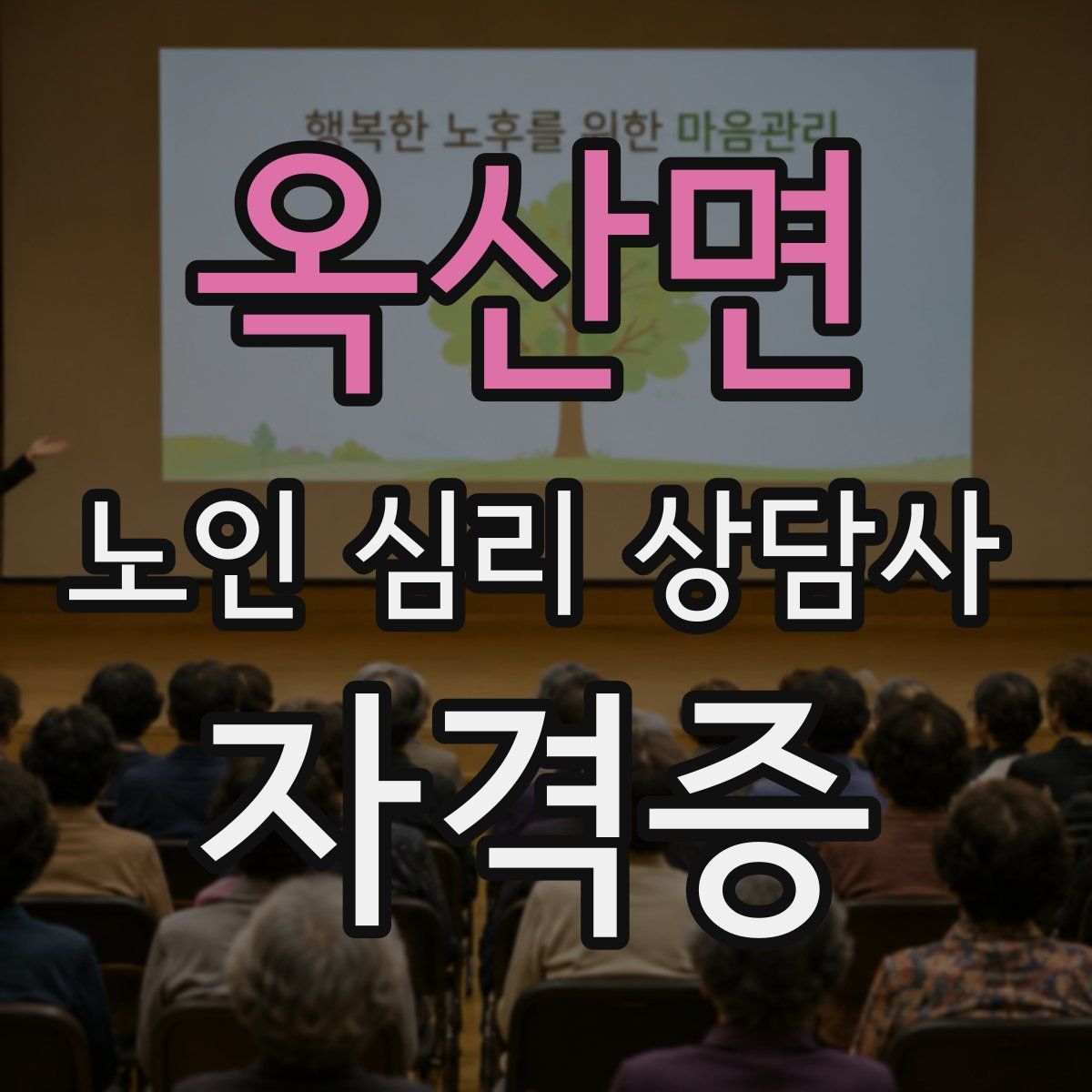 옥산면 노인 심리 상담사 자격증