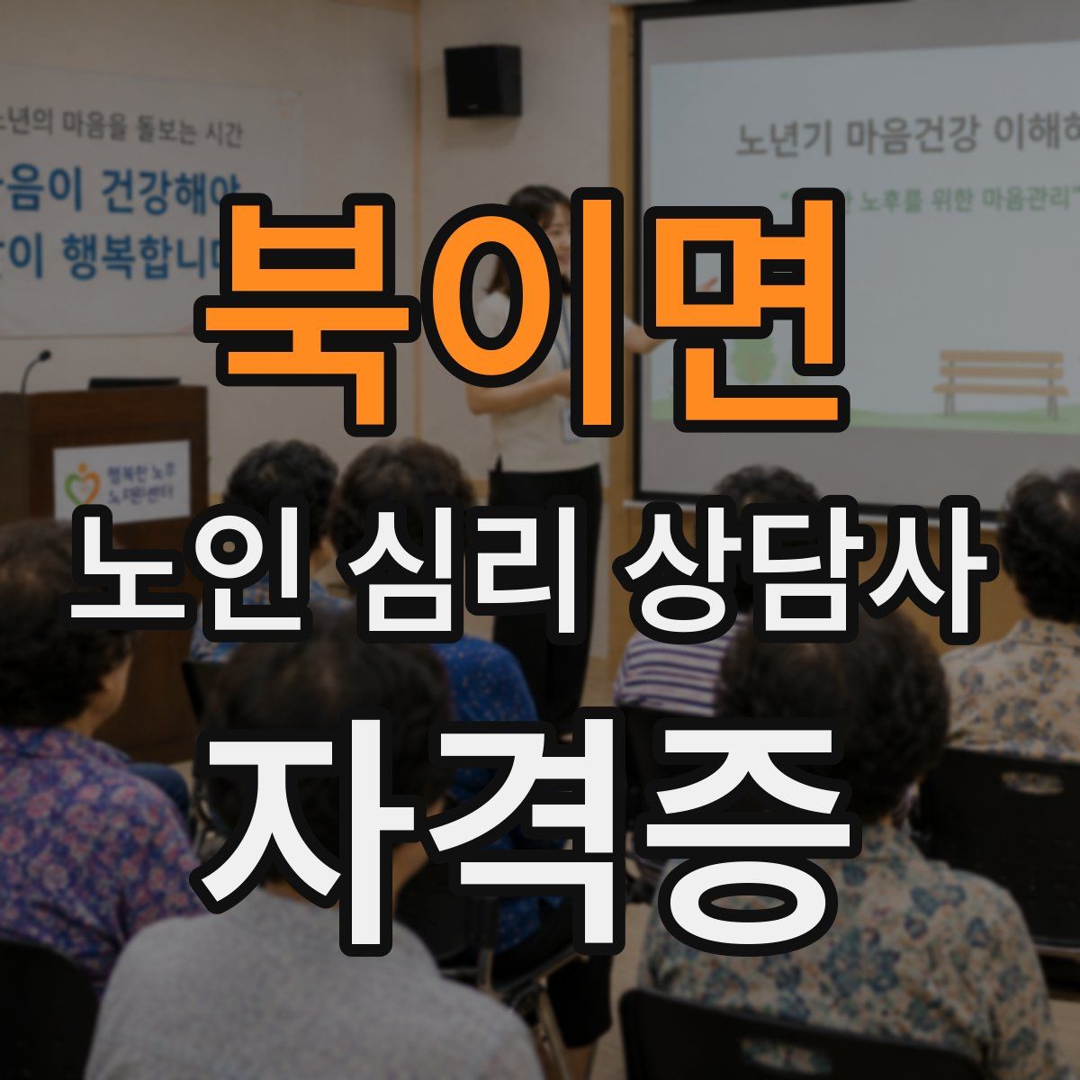 북이면 노인 심리 상담사 자격증
