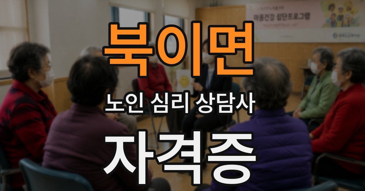 북이면 노인 심리 상담사 자격증