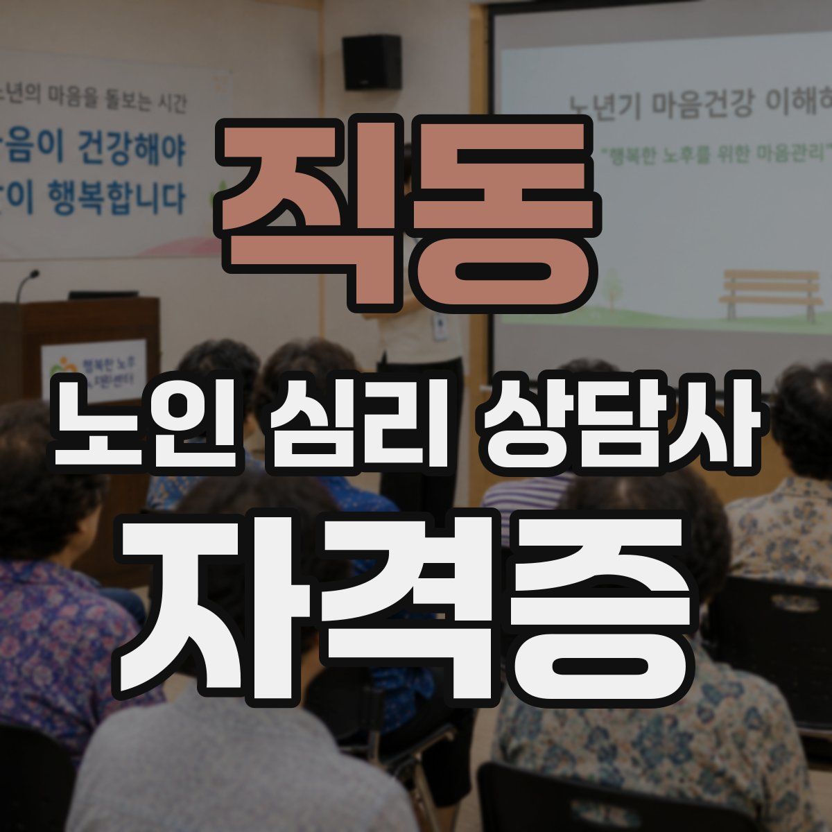 직동 노인 심리 상담사 자격증