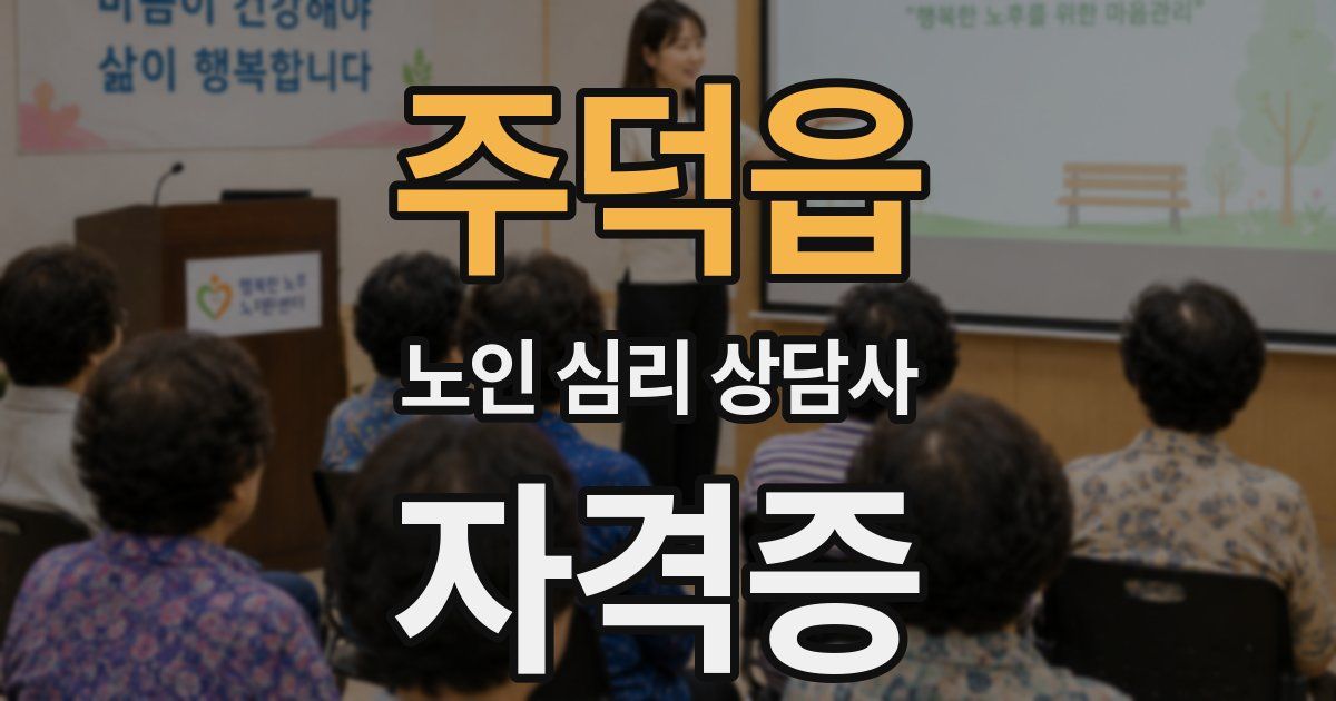 주덕읍 노인 심리 상담사 자격증
