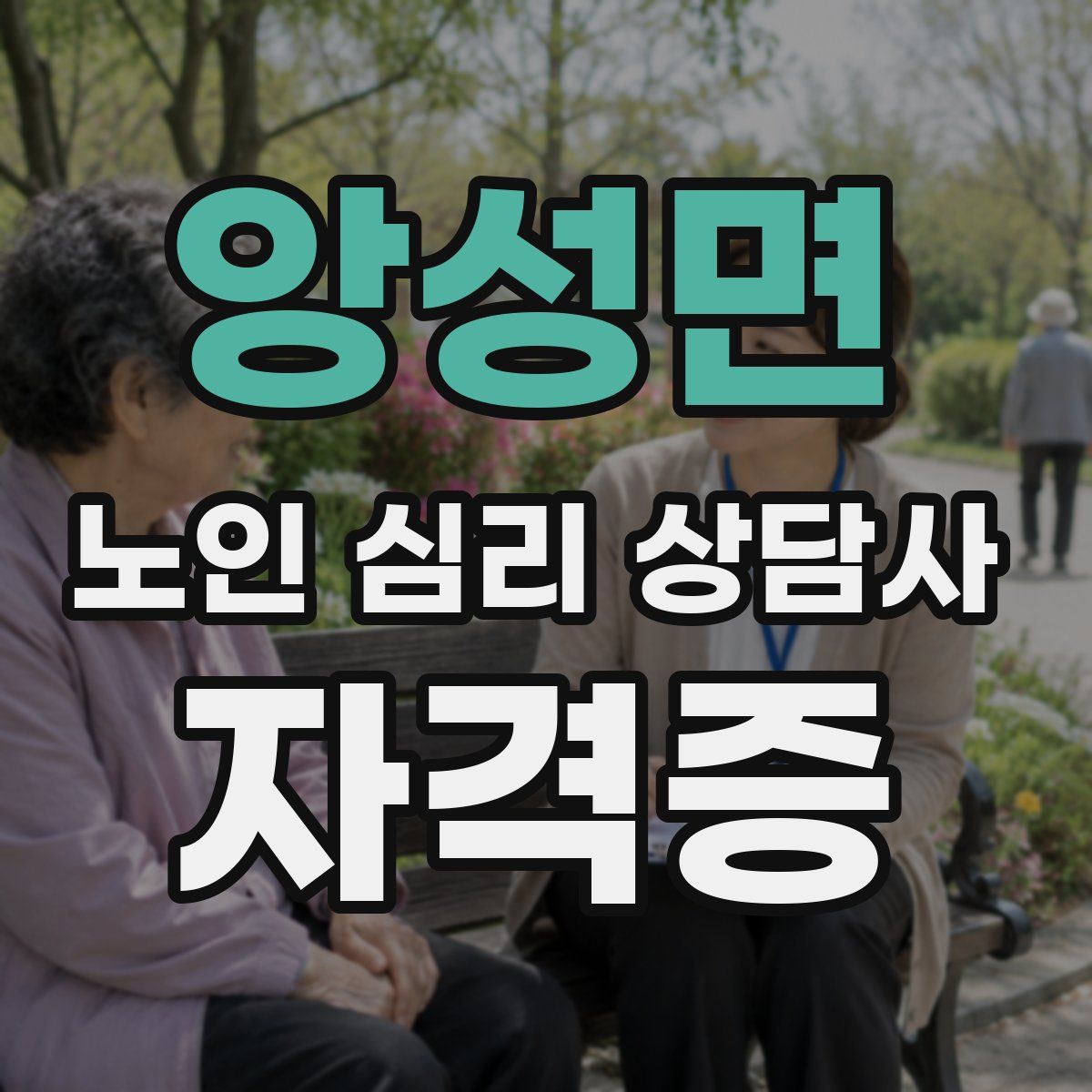 앙성면 노인 심리 상담사 자격증