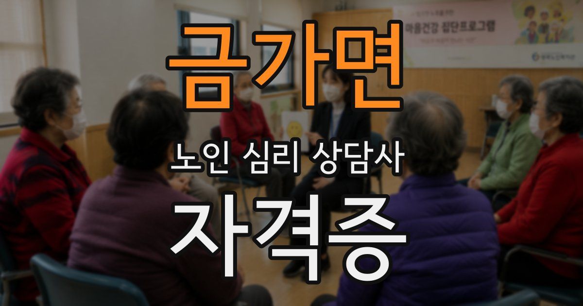 금가면 노인 심리 상담사 자격증