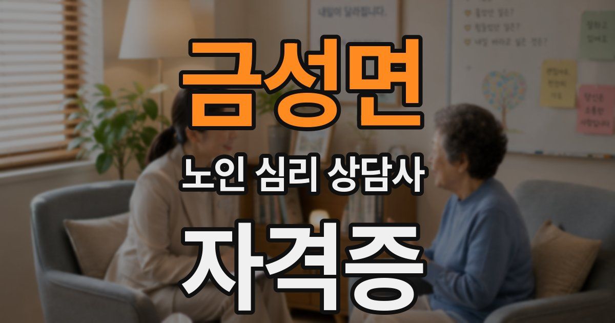 금성면 노인 심리 상담사 자격증