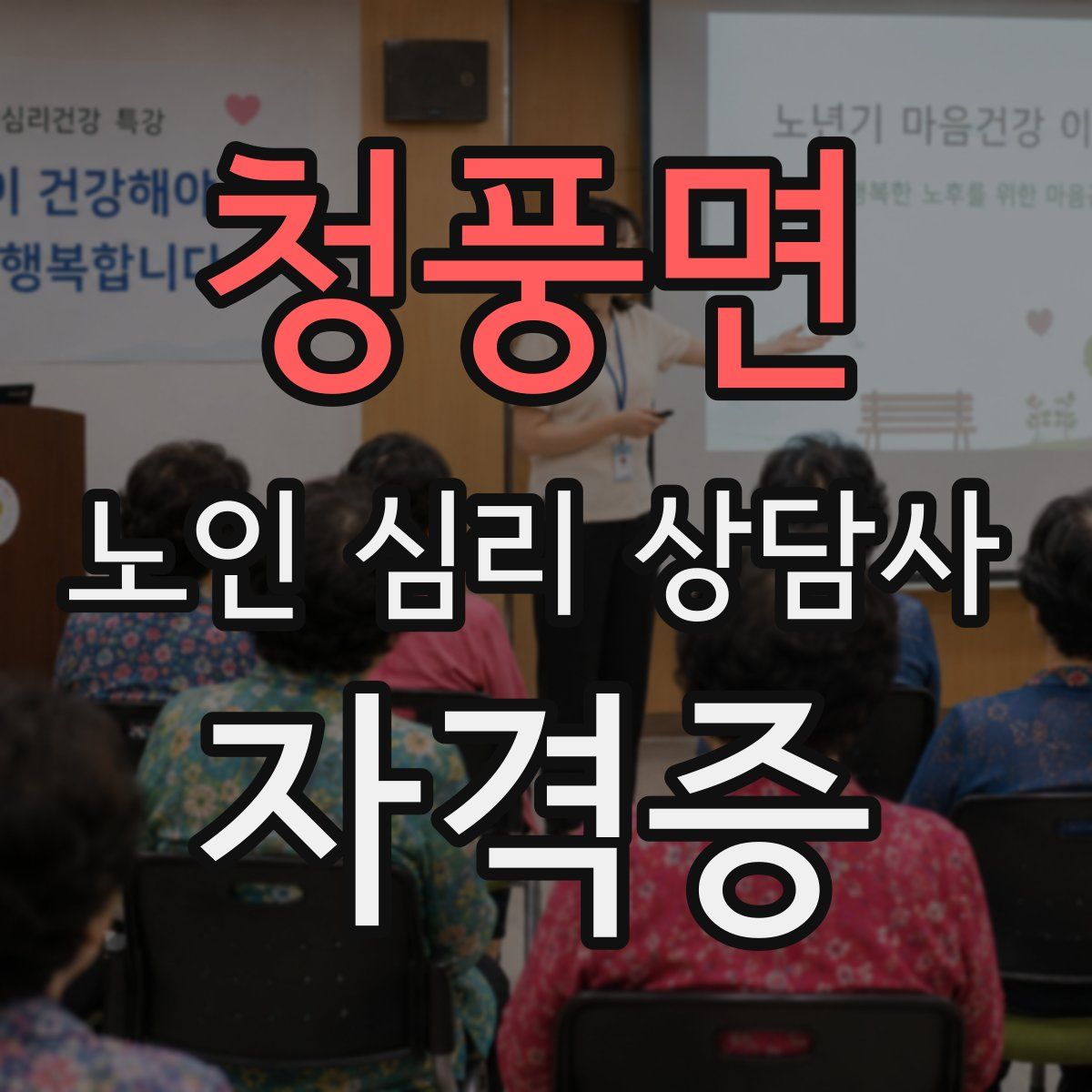 청풍면 노인 심리 상담사 자격증