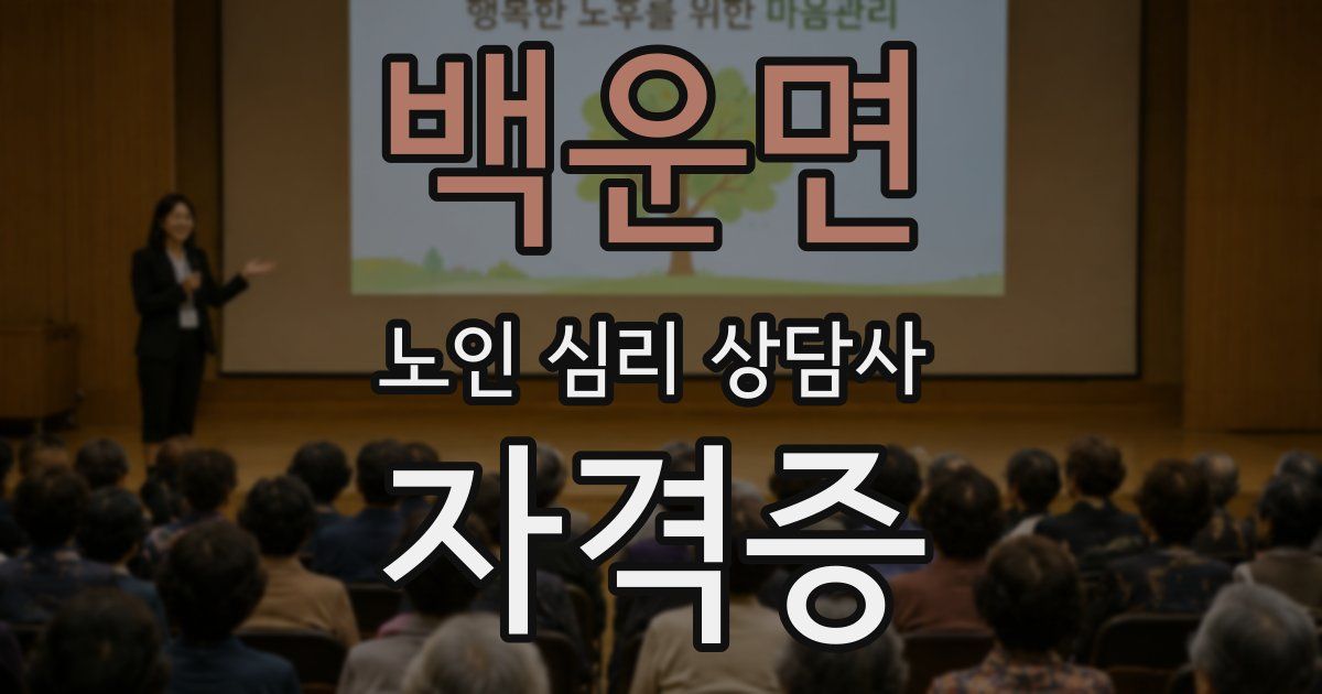백운면 노인 심리 상담사 자격증