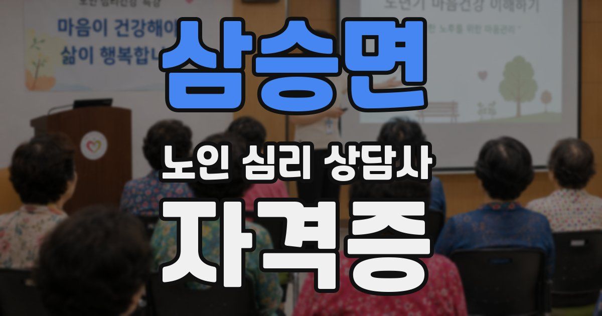 삼승면 노인 심리 상담사 자격증