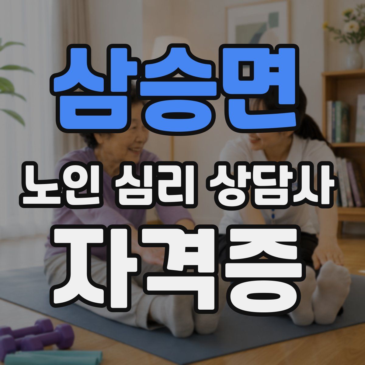 삼승면 노인 심리 상담사 자격증