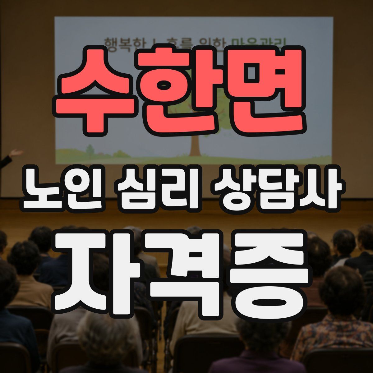 수한면 노인 심리 상담사 자격증