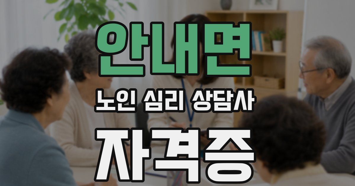 안내면 노인 심리 상담사 자격증
