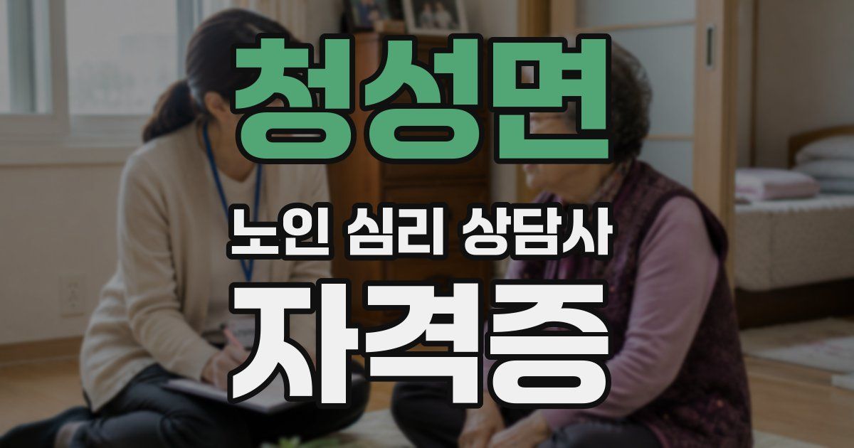 청성면 노인 심리 상담사 자격증