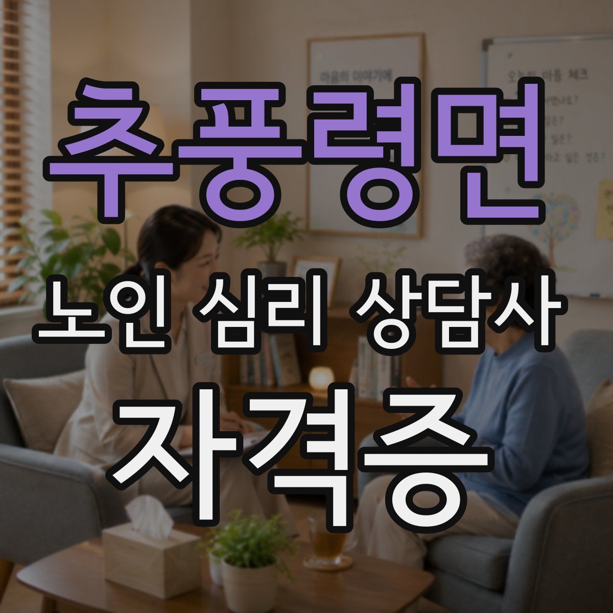 추풍령면 노인 심리 상담사 자격증