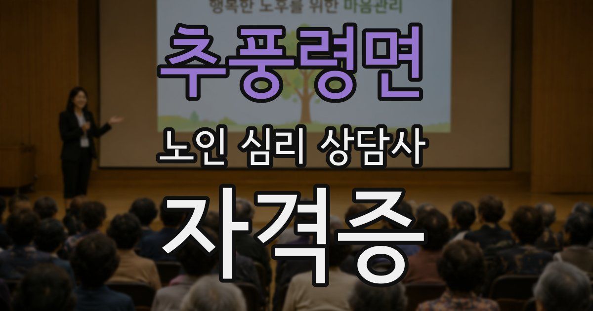 추풍령면 노인 심리 상담사 자격증