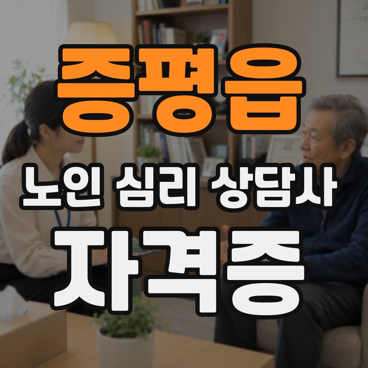 증평읍 노인 심리 상담사 자격증