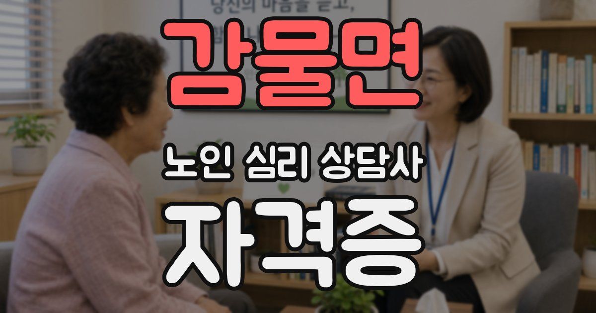 감물면 노인 심리 상담사 자격증
