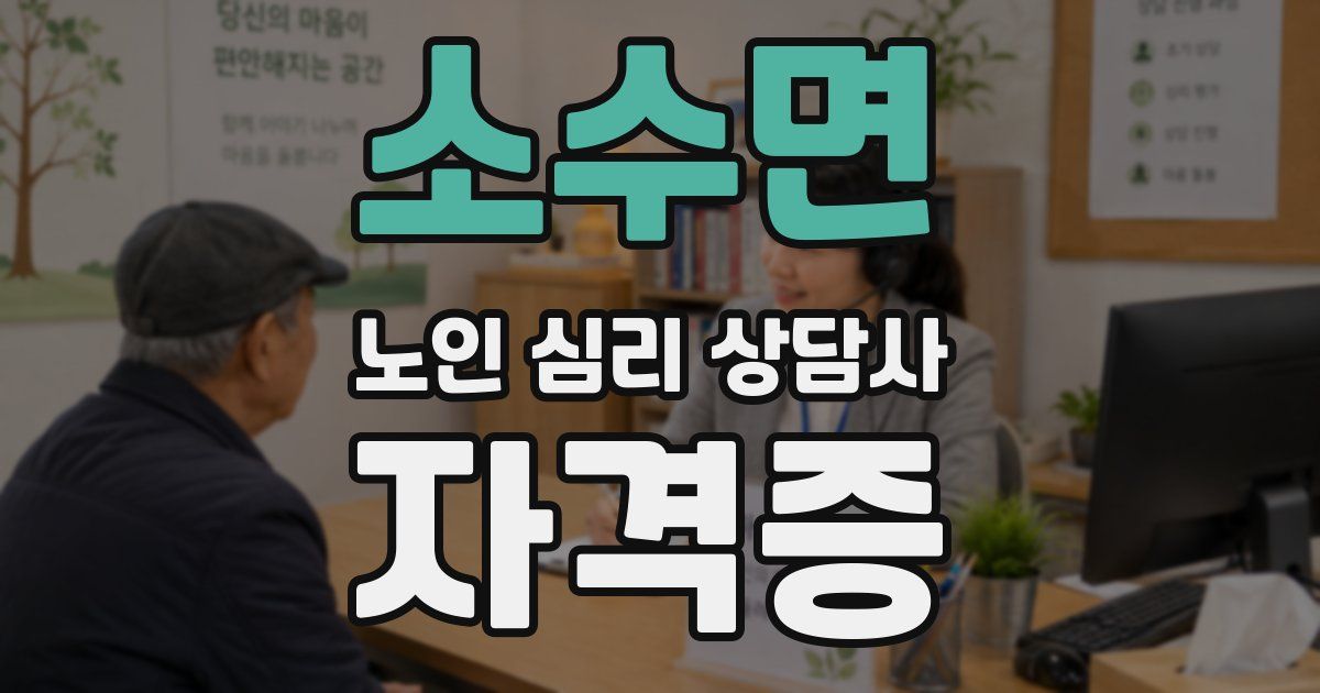 소수면 노인 심리 상담사 자격증