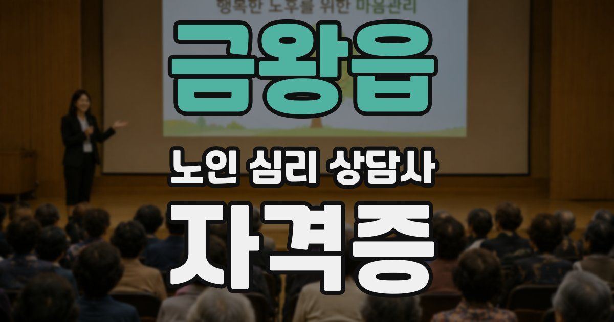 금왕읍 노인 심리 상담사 자격증