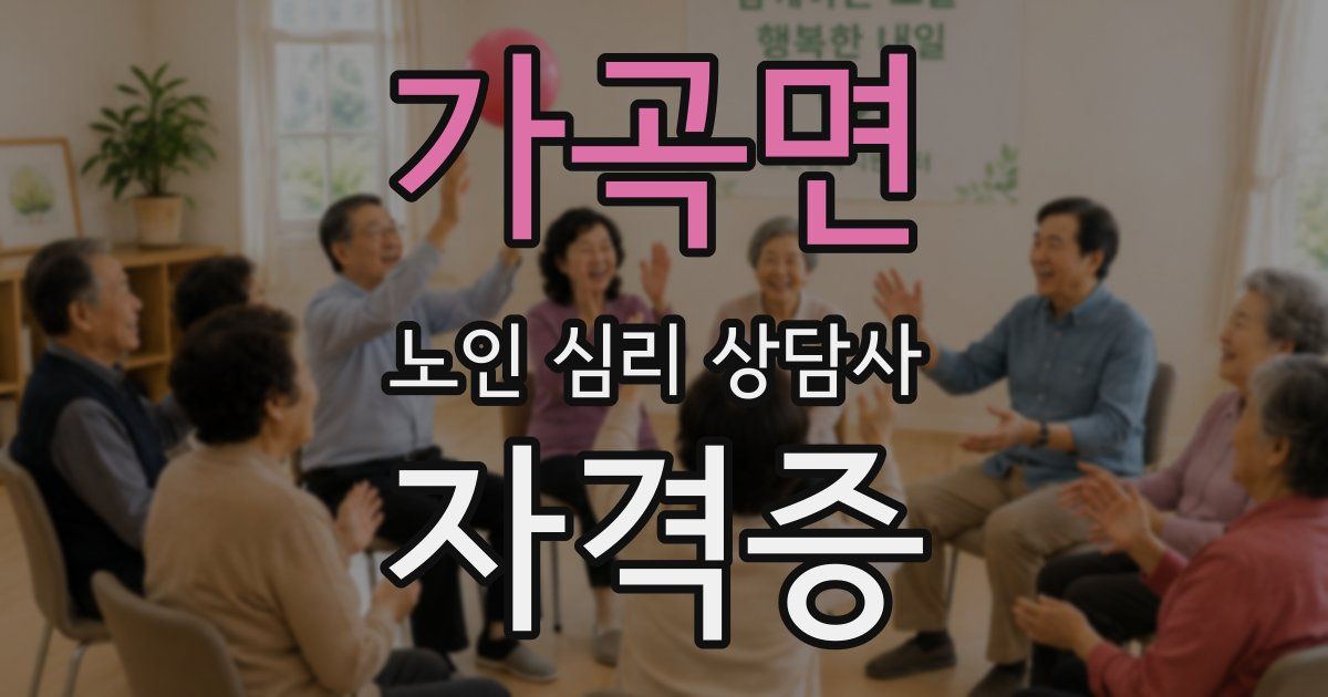 가곡면 노인 심리 상담사 자격증