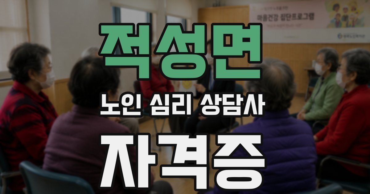 적성면 노인 심리 상담사 자격증