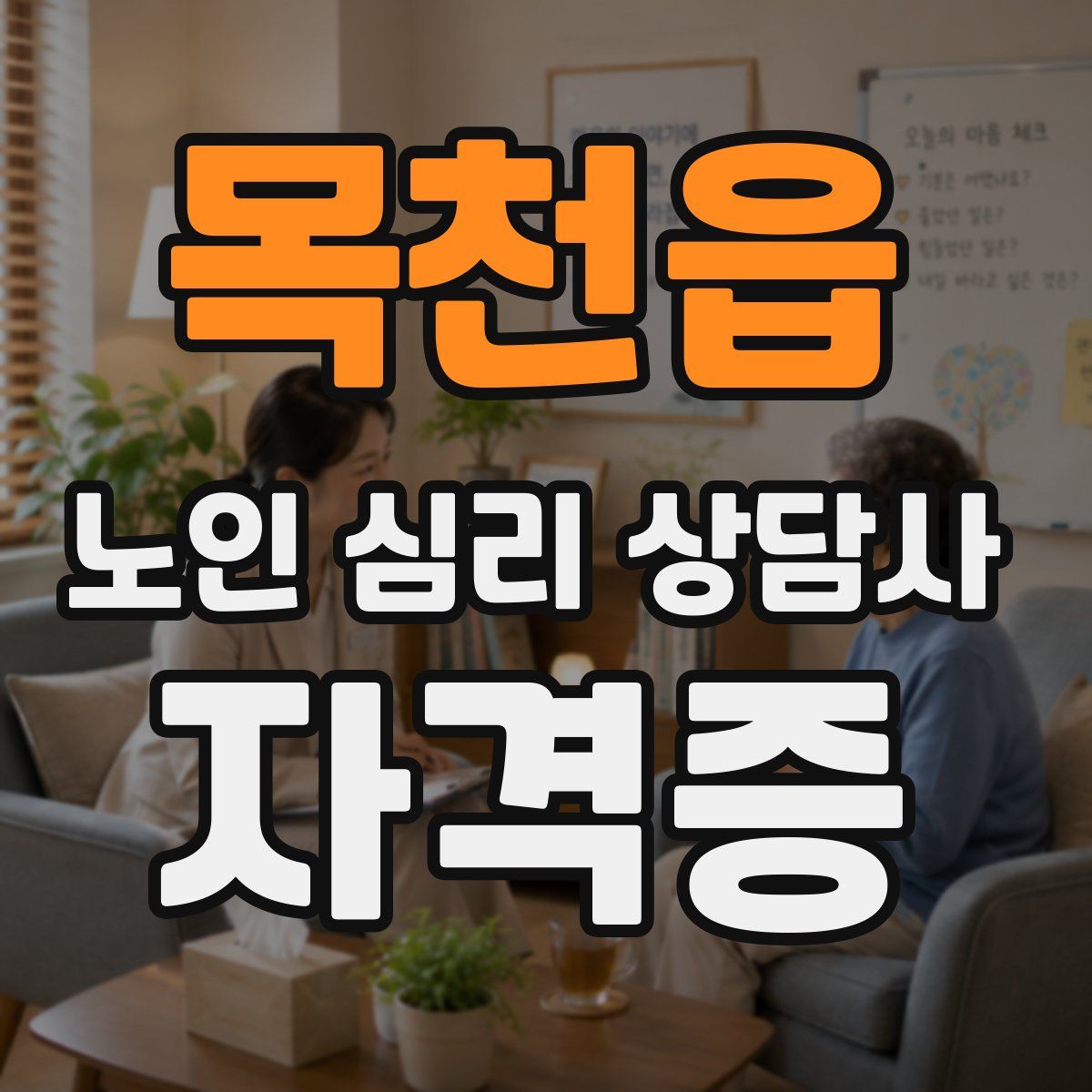 목천읍 노인 심리 상담사 자격증