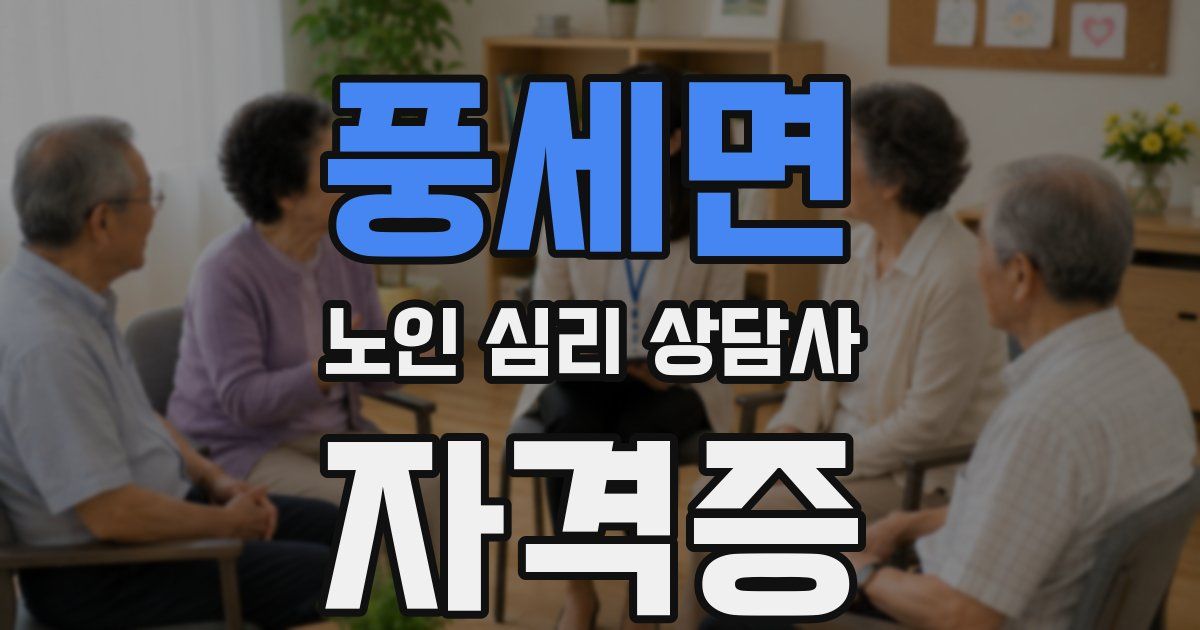 풍세면 노인 심리 상담사 자격증
