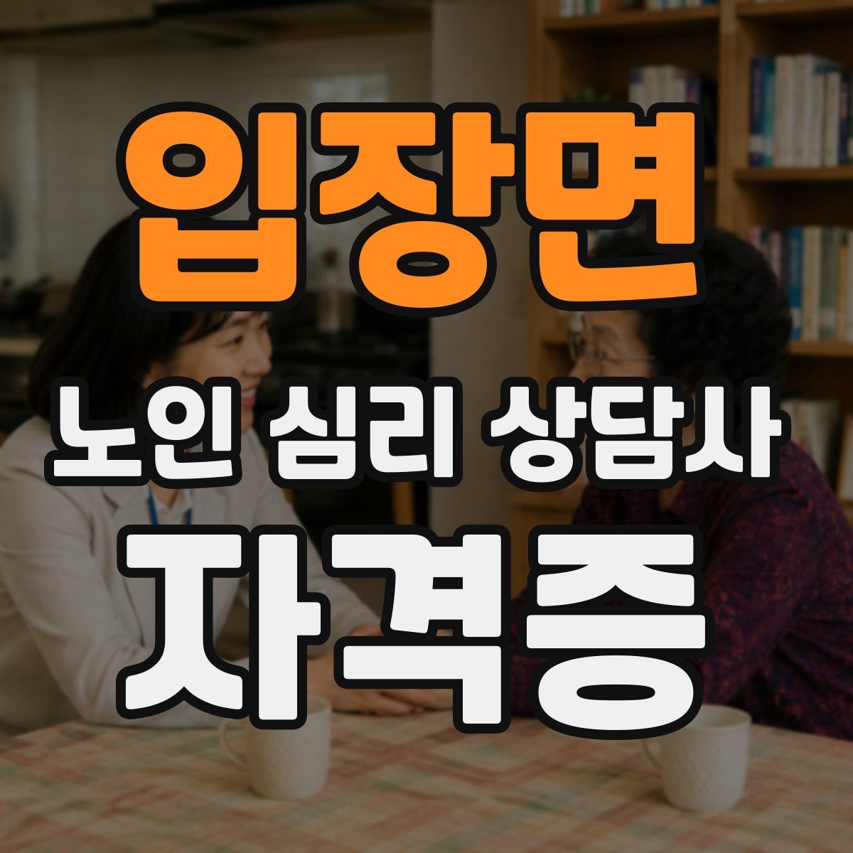 입장면 노인 심리 상담사 자격증