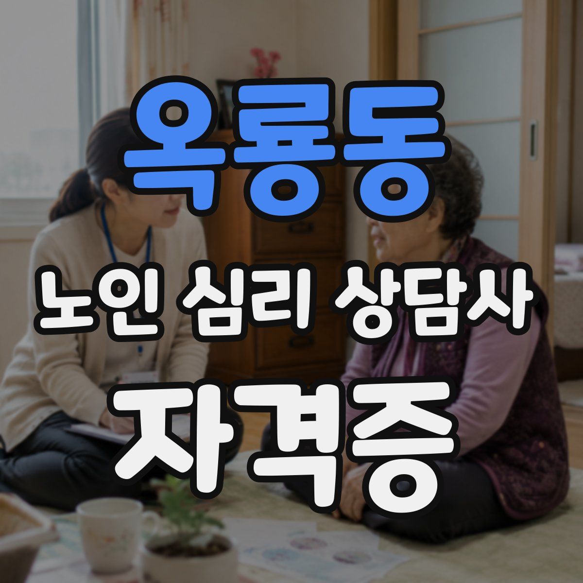 옥룡동 노인 심리 상담사 자격증