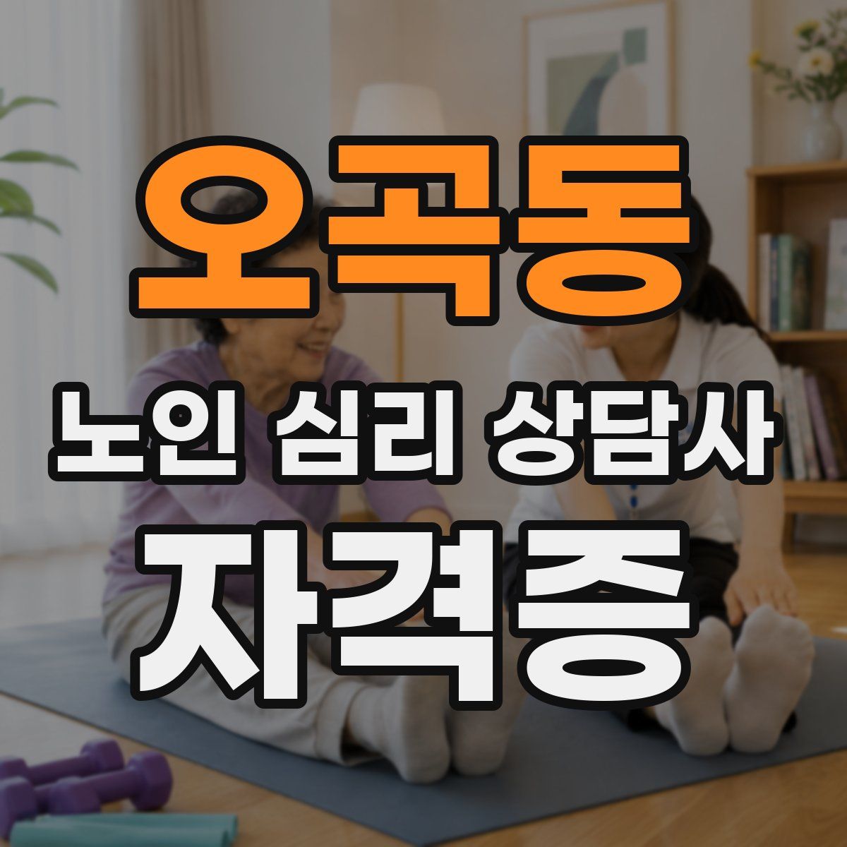 오곡동 노인 심리 상담사 자격증