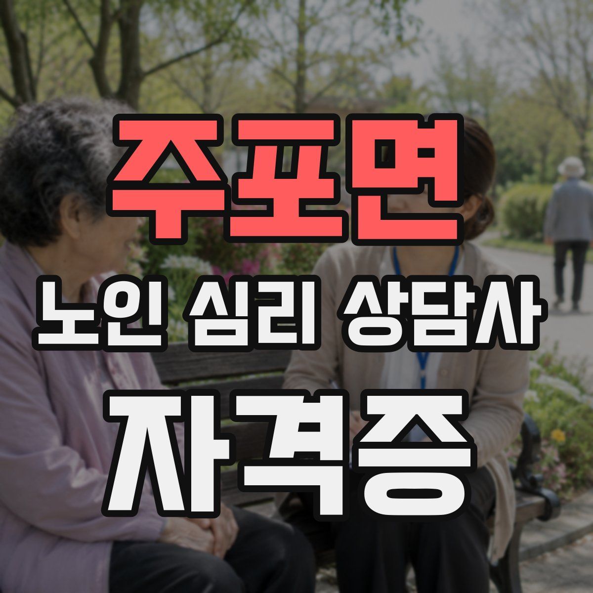 주포면 노인 심리 상담사 자격증