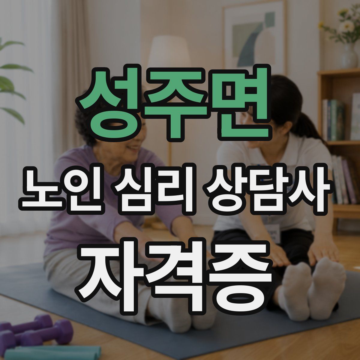 성주면 노인 심리 상담사 자격증